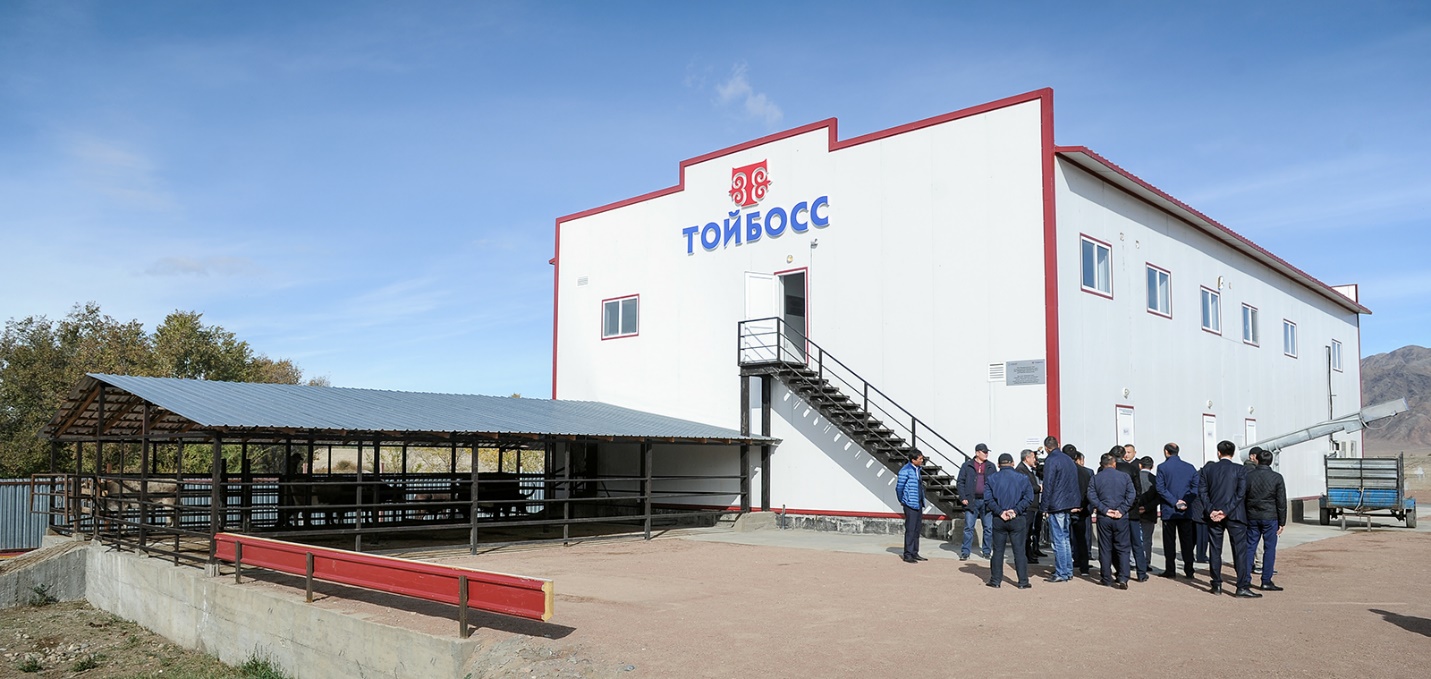 Завод Тойбосс